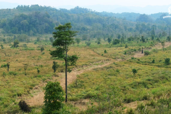 เส้นทางสู่ ‘หัวหน้าพื้นที่อนุรักษ์’ เมื่อความโปร่งใสต้องมาก่อนเส้นสาย