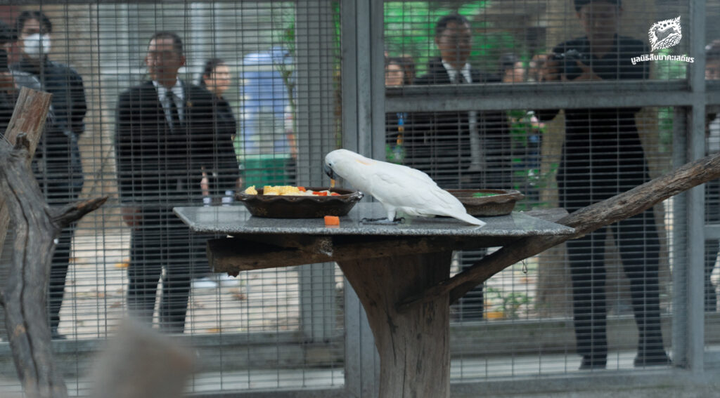 จุดประกายความร่วมมือ ‘อาหารส่วนเกินเพื่อสัตว์ป่า’ เมื่อของเหลือจากห้างกลายเป็นอาหารเลี้ยงชีวิตสัตว์ป่า