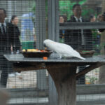 จุดประกายความร่วมมือ ‘อาหารส่วนเกินเพื่อสัตว์ป่า’ เมื่อของเหลือจากห้างกลายเป็นอาหารเลี้ยงชีวิตสัตว์ป่า