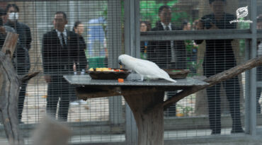 จุดประกายความร่วมมือ ‘อาหารส่วนเกินเพื่อสัตว์ป่า’ เมื่อของเหลือจากห้างกลายเป็นอาหารเลี้ยงชีวิตสัตว์ป่า