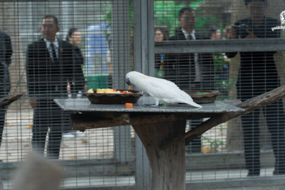 จุดประกายความร่วมมือ ‘อาหารส่วนเกินเพื่อสัตว์ป่า’ เมื่อของเหลือจากห้างกลายเป็นอาหารเลี้ยงชีวิตสัตว์ป่า