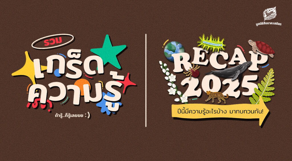 รวมเกร็ดความรู้ ถ้ารู้ก็รู้เลย ปีนี้มีความรู้อะไรบ้าง มาทบทวนกัน