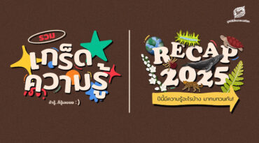 รวมเกร็ดความรู้ ถ้ารู้ก็รู้เลย ปีนี้มีความรู้อะไรบ้าง มาทบทวนกัน