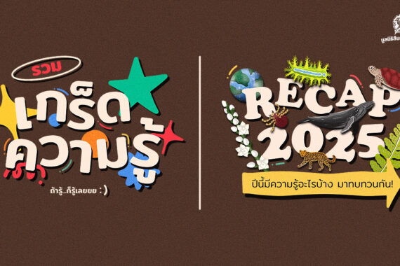 รวมเกร็ดความรู้ ถ้ารู้ก็รู้เลย ปีนี้มีความรู้อะไรบ้าง มาทบทวนกัน