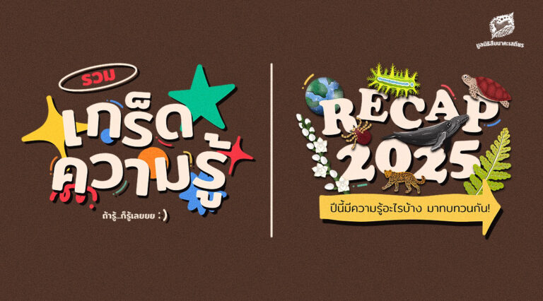 รวมเกร็ดความรู้ ถ้ารู้ก็รู้เลย ปีนี้มีความรู้อะไรบ้าง มาทบทวนกัน