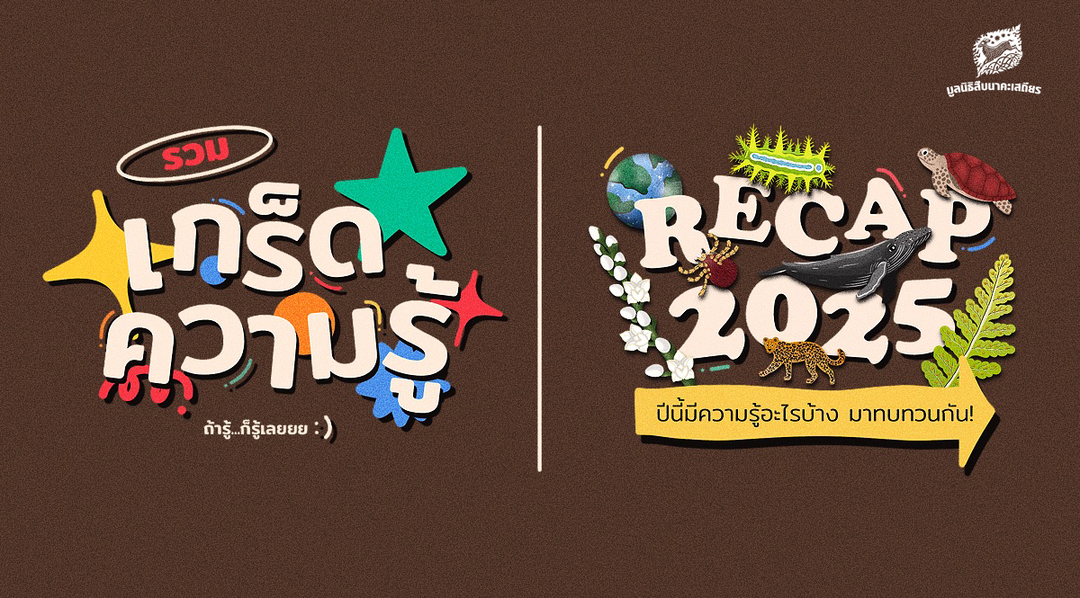 รวมเกร็ดความรู้ ถ้ารู้ก็รู้เลย ปีนี้มีความรู้อะไรบ้าง มาทบทวนกัน