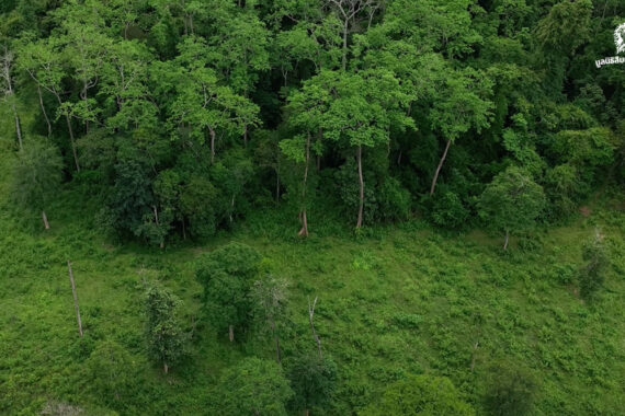 ถกแนวทางให้ภาคเอกชนฯ มีส่วนร่วมดำเนินงานโซนบริการอุทยานฯ