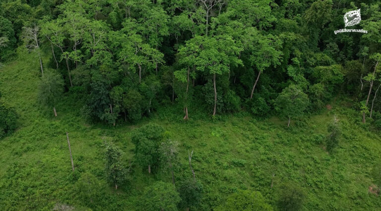 ถกแนวทางให้ภาคเอกชนฯ มีส่วนร่วมดำเนินงานโซนบริการอุทยานฯ