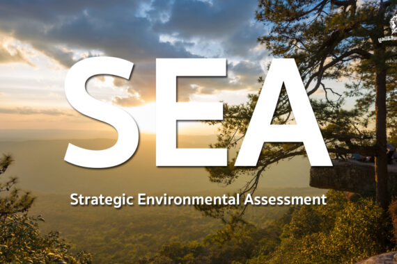 เข้าใจ SEA เครื่องมือตัดสินใจระดับชาติ ทำไม ‘จะนะ-เขาใหญ่-ภูกระดึง’ ถึงต้องใช้มากกว่าแค่ EIA?