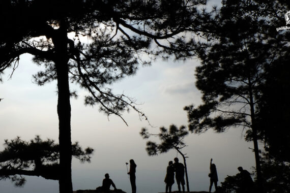 “มันอาจไม่ใช่ทางเลือกที่เหมาะสม”