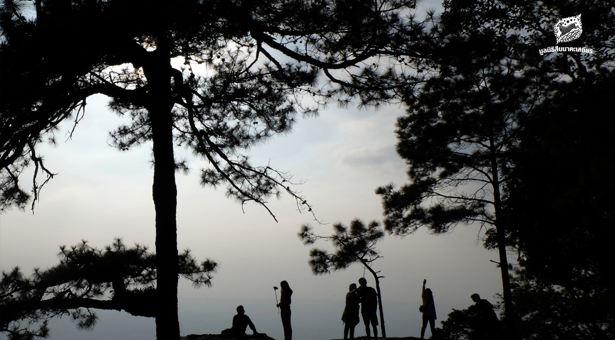 “มันอาจไม่ใช่ทางเลือกที่เหมาะสม”