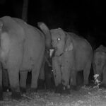 คนเฝ้าช้าง (ตอน 9)