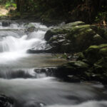 คลองวังโตนด : ความคลาดเคลื่อนของข้อมูลวิชาการกับอนาคตผืนป่าเขาสิบห้าชั้น