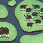 กรมอุทยานฯ เผย พบ ‘ควายป่า’ โดยตรงที่ห้วยขาแข้งตอนใต้ 10 ตัว คาดปัจจุบันมีประชากรในไทยทั้งสิ้นอย่างน้อย 66 ตัว