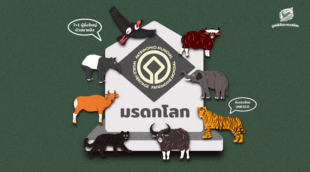 ‘มรดกโลกทุ่งใหญ่-ห้วยขาแข้ง’ ว่าด้วยประโยชน์ของการประกาศเป็นพื้นที่มรดกโลกทางธรรมชาติ