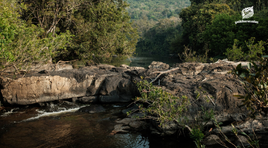 เขื่อนไสน้อย ที่เราไม่ยอมให้เกิดขึ้น