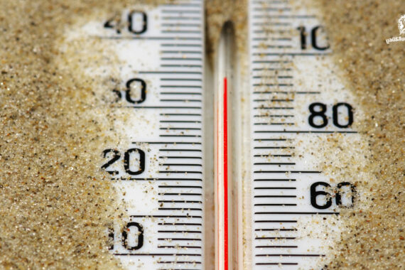 Weather Station ‘หูตา’ ของคนตัวเล็ก ในวันที่โลก (เดือด) ไม่เหมือนเดิม