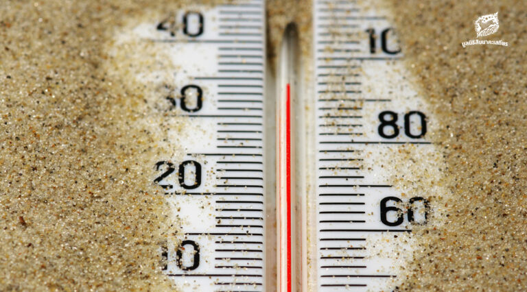 Weather Station ‘หูตา’ ของคนตัวเล็ก ในวันที่โลก (เดือด) ไม่เหมือนเดิม