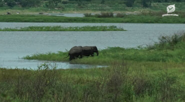 คนเฝ้าช้าง (ตอน 12)