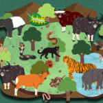 ‘ประชาธิปไตยในผืนป่า’ เมื่อการกระจายบทบาทและการถ่วงดุลตามธรรมชาติ คือโมเดลสำคัญของระบอบการปกครองใน ‘ระบบนิเวศ’