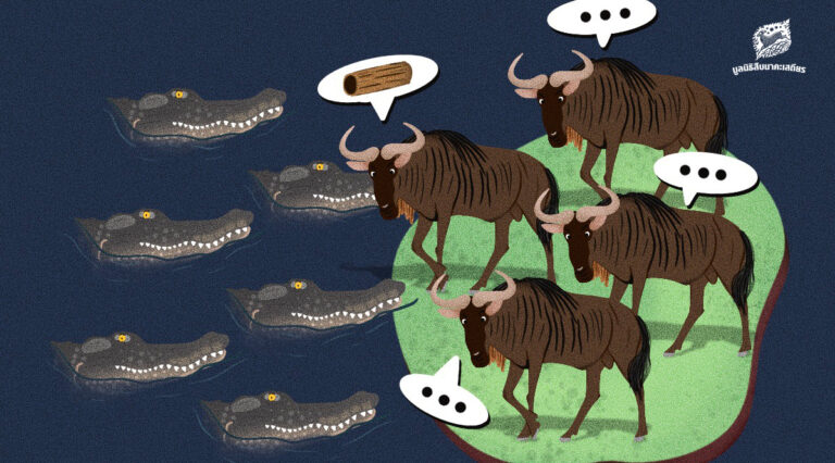 เมื่อผู้นำที่(ไม่ได้)เลือก ไม่เป็นอย่างที่หวัง ชวนสำรวจพฤติกรรมจ่าฝูงในสัตว์ป่า ที่มักนำพาฝูงไปสู่ความล่มจม