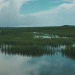 พื้นที่ชุ่มน้ำ ในวันที่ความรู้ดั้งเดิมคือทางรอดใหม่￼