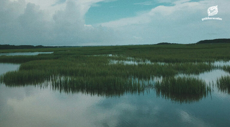 พื้นที่ชุ่มน้ำ ในวันที่ความรู้ดั้งเดิมคือทางรอดใหม่￼