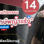 กิจกรรมวันรักพญาแร้ง 2569 เสาร์ ที่ 14 กุมภาพันธ์ 2569