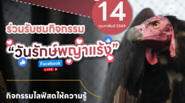 กิจกรรมวันรักพญาแร้ง 2569 เสาร์ ที่ 14 กุมภาพันธ์ 2569