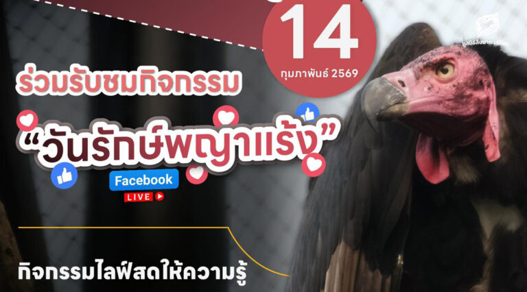 กิจกรรมวันรักพญาแร้ง 2569 เสาร์ ที่ 14 กุมภาพันธ์ 2569