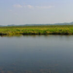 เวียงหนองหล่ม การพัฒนาที่ยังติดหล่มอยู่ในความทันสมัยที่เป็นพิษ