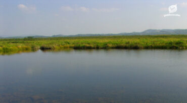 เวียงหนองหล่ม การพัฒนาที่ยังติดหล่มอยู่ในความทันสมัยที่เป็นพิษ