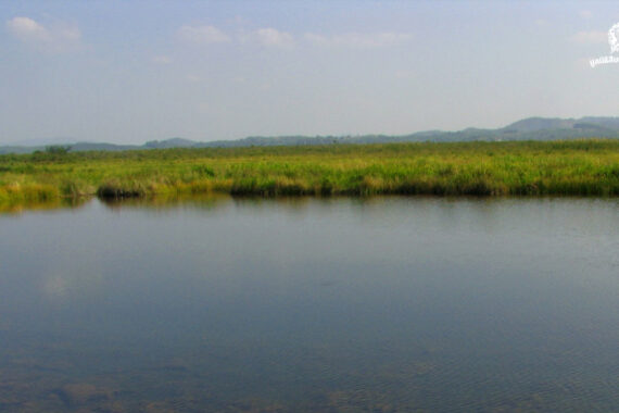 เวียงหนองหล่ม การพัฒนาที่ยังติดหล่มอยู่ในความทันสมัยที่เป็นพิษ