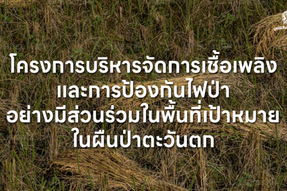 โครงการบริหารจัดการเชื้อเพลิงและการป้องกันไฟป่าอย่างมีส่วนร่วมในพื้นที่เป้าหมายในผืนป่าตะวันตก