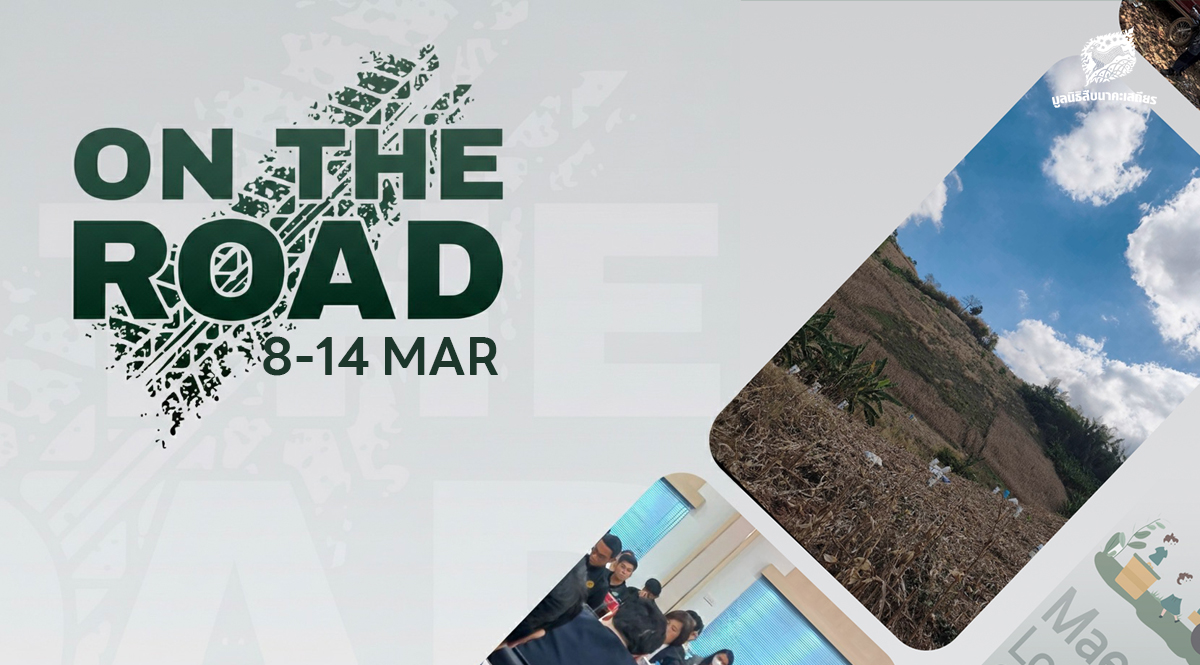 On the Road 8 – 14 มีนาคม 2569