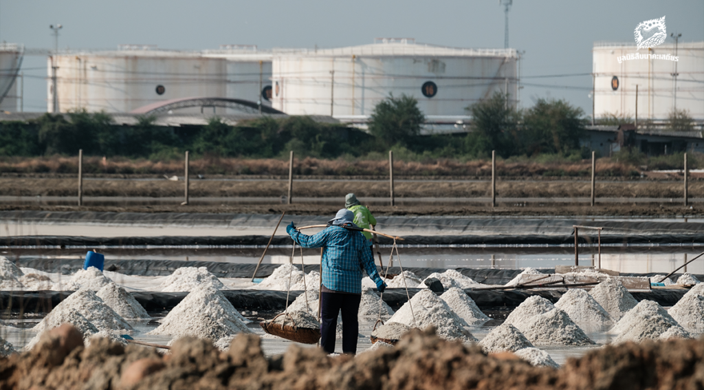 โรงกลั่นน้ำมันขยับใกล้ นกอพยพและวิถีชีวิตก็ล่มสลาย