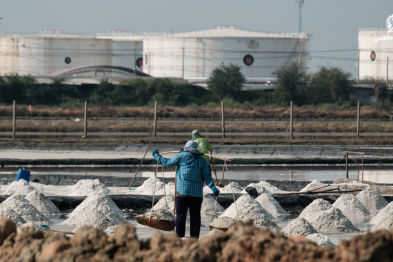 โรงกลั่นน้ำมันขยับใกล้ นกอพยพและวิถีชีวิตก็ล่มสลาย