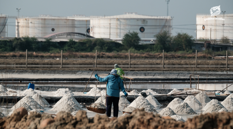 โรงกลั่นน้ำมันขยับใกล้ นกอพยพและวิถีชีวิตก็ล่มสลาย