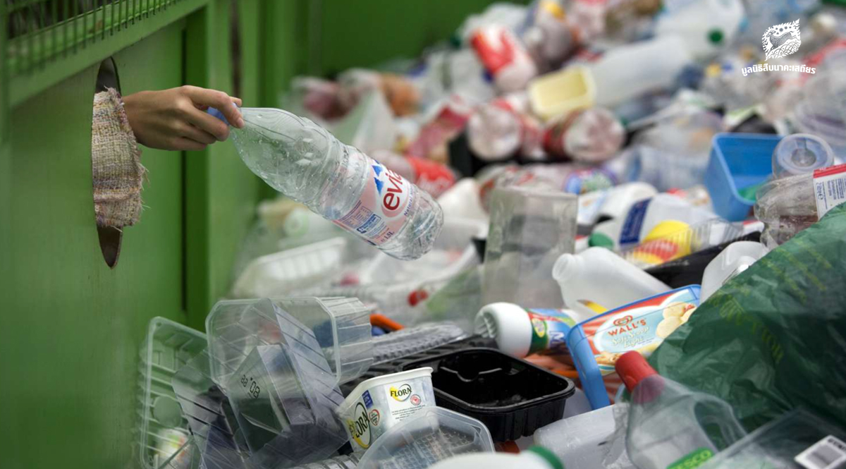 วงจรรีไซเคิลที่ขาดหาย ในโครงสร้างเศรษฐกิจแบบใช้แล้วทิ้ง