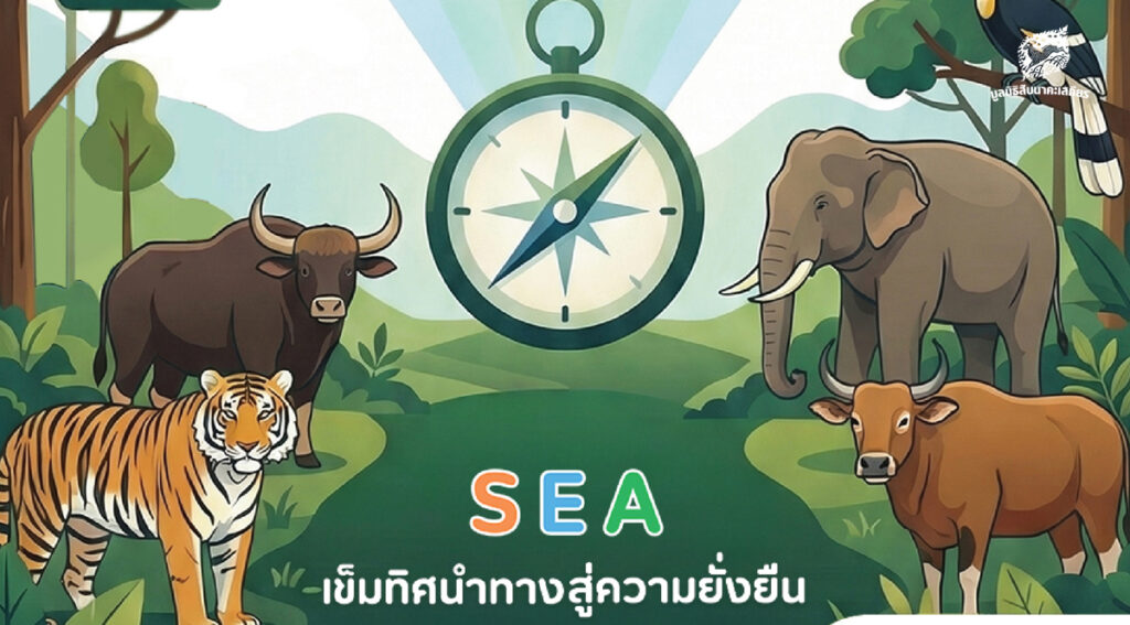 การประเมินสิ่งแวดล้อมระดับยุทธศาสตร์ มรดกโลกทางธรรมชาติกลุ่มป่าดงพญาเย็น-เขาใหญ่ (Infographic)