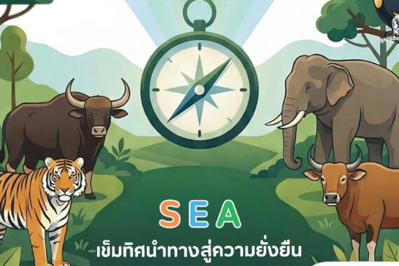 การประเมินสิ่งแวดล้อมระดับยุทธศาสตร์ มรดกโลกทางธรรมชาติกลุ่มป่าดงพญาเย็น-เขาใหญ่ (Infographic)