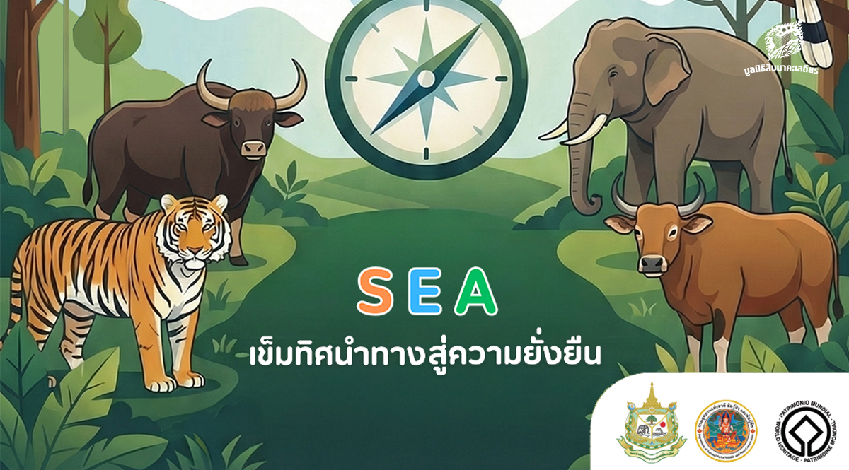 การประเมินสิ่งแวดล้อมระดับยุทธศาสตร์ มรดกโลกทางธรรมชาติกลุ่มป่าดงพญาเย็น-เขาใหญ่ (Infographic)