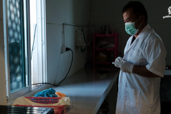 ชีวิตในเปลือกบาง กับงานที่พลาดไม่ได้แม้เสี้ยววินาทีของผู้ดูแลพญาแร้ง