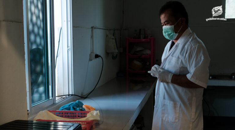 ชีวิตในเปลือกบาง กับงานที่พลาดไม่ได้แม้เสี้ยววินาทีของผู้ดูแลพญาแร้ง