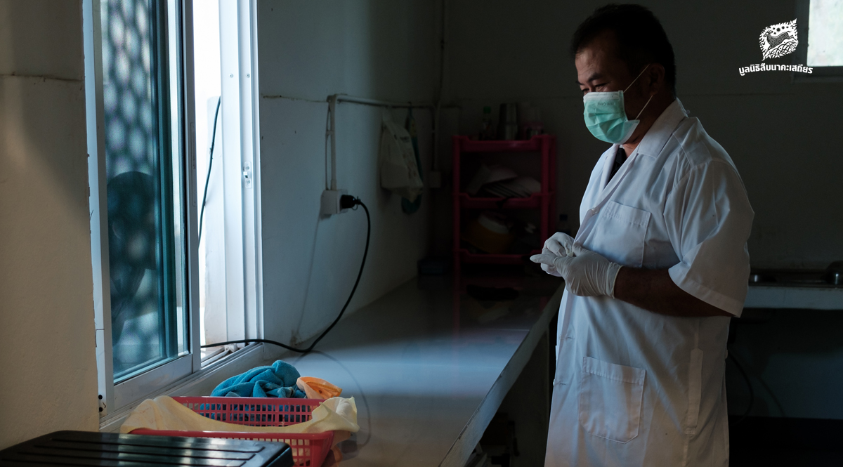 ชีวิตในเปลือกบาง กับงานที่พลาดไม่ได้แม้เสี้ยววินาทีของผู้ดูแลพญาแร้ง