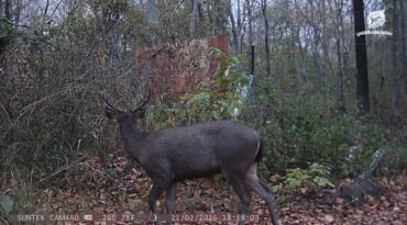 การลาดตระเวนป่าชุมชน กลไกที่ขาดไม่ได้ของการอนุรักษ์ยุคใหม่