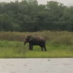 คนเฝ้าช้าง (ตอน 13)