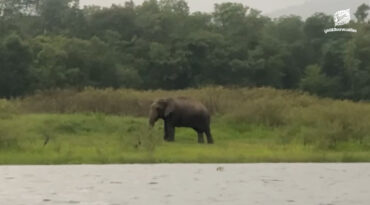 คนเฝ้าช้าง (ตอน 13)