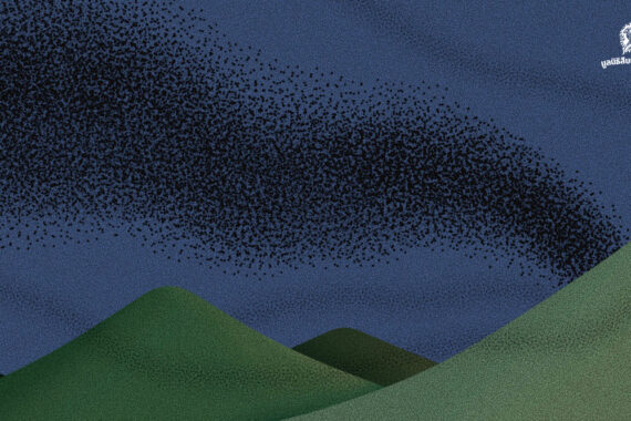 ปรากฏการณ์ฝูงค้างคาวนับล้านบินออกจากถ้ำ ว่าด้วยความมหัศจรรย์ที่สร้างสรรค์โดยธรรมชาติ