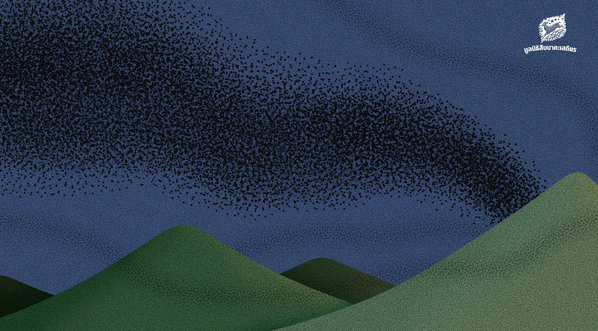 ปรากฏการณ์ฝูงค้างคาวนับล้านบินออกจากถ้ำ ว่าด้วยความมหัศจรรย์ที่สร้างสรรค์โดยธรรมชาติ